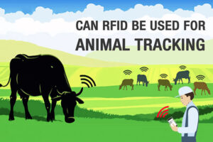 rfid tag for animal tracking