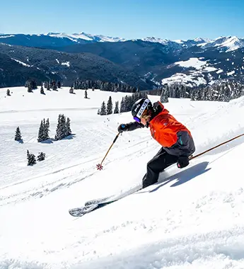 ski resorts