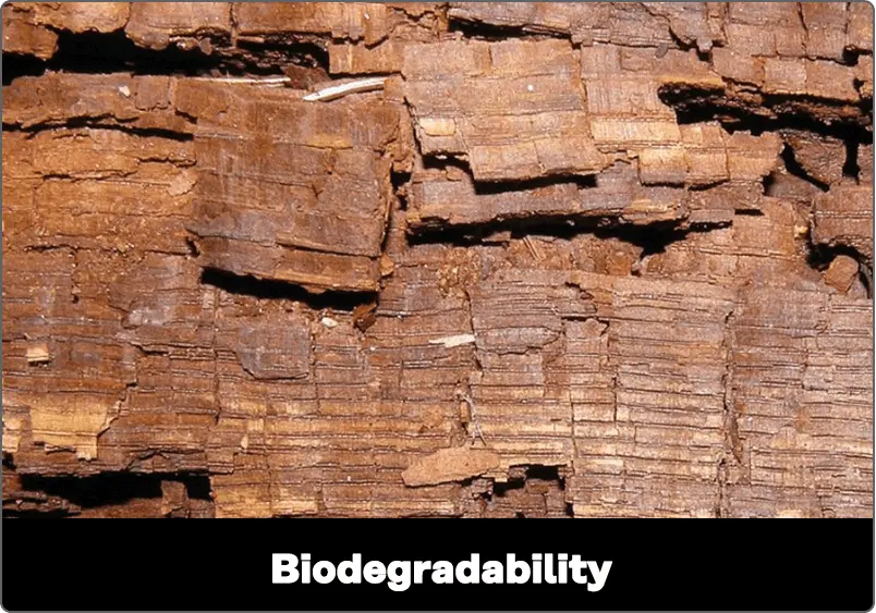 biodegradability